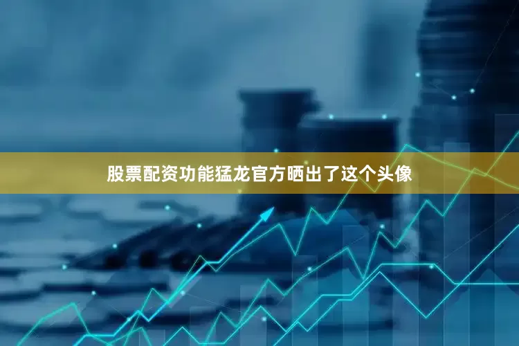 股票配资功能猛龙官方晒出了这个头像