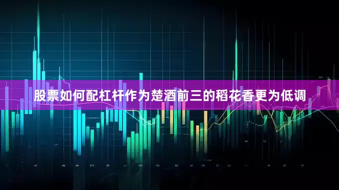 股票如何配杠杆作为楚酒前三的稻花香更为低调