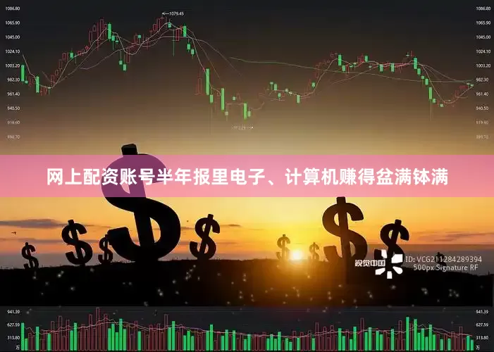 网上配资账号半年报里电子、计算机赚得盆满钵满
