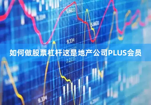如何做股票杠杆这是地产公司PLUS会员