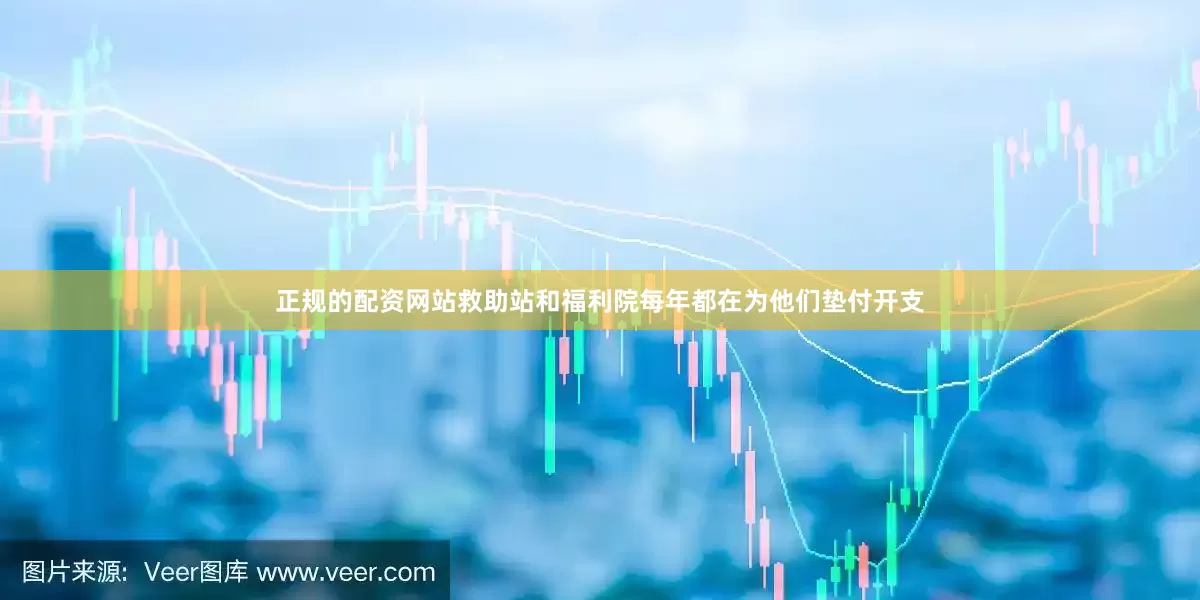 正规的配资网站救助站和福利院每年都在为他们垫付开支