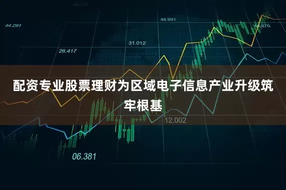 配资专业股票理财为区域电子信息产业升级筑牢根基
