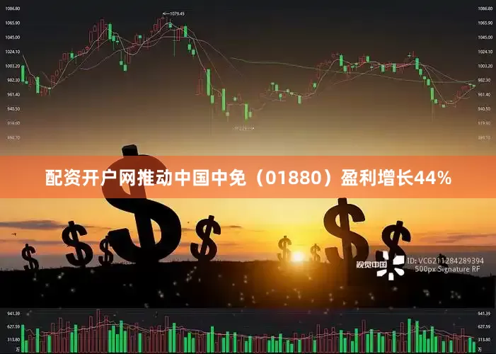 配资开户网推动中国中免（01880）盈利增长44%